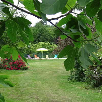 cellier_gite_nature